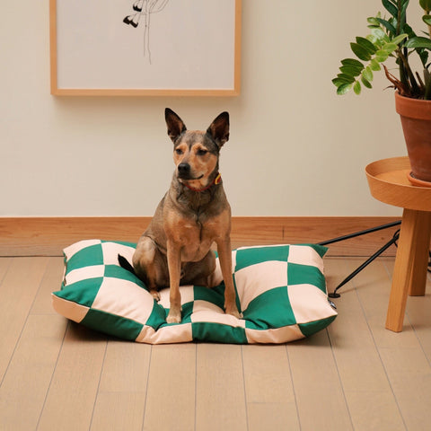 The Fritz Bed - Checkered Green
