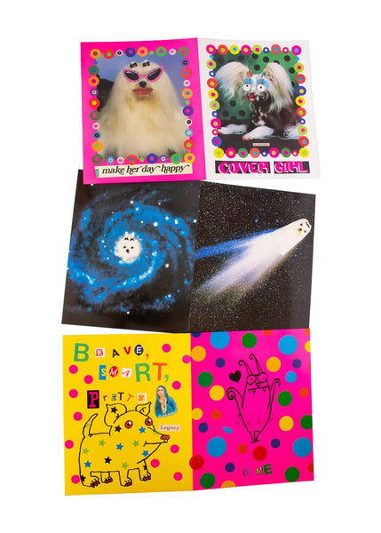 Organized Chaos Pocket Folder Set