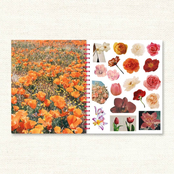 Cut It Out! Collage Book