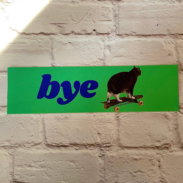 Bye Skateboard Cat Bumper Magnet