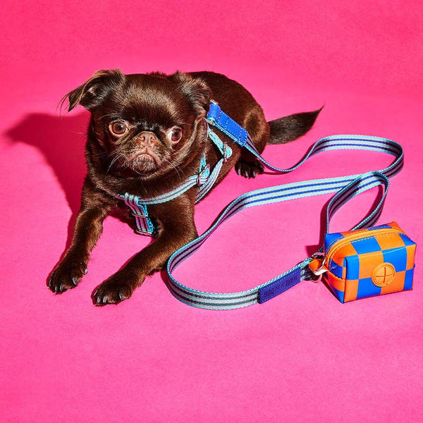 Checkered Vinyl Poo Bag Pouch - Blue/Orange