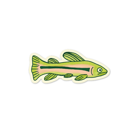 Rainbow Trout Vinyl Sticker