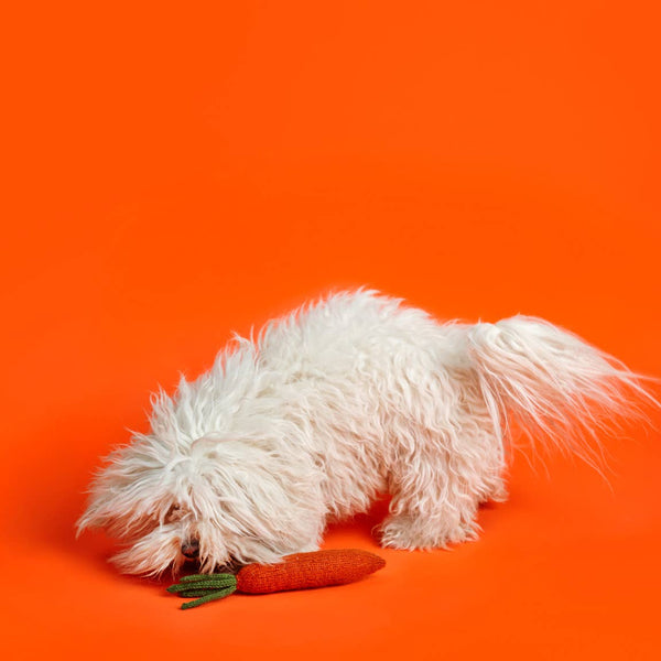 Hand Knit Carrot Dog Toy
