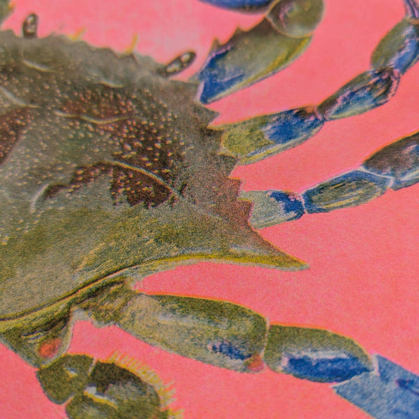 Watercolour Blue Crab Risograph Print