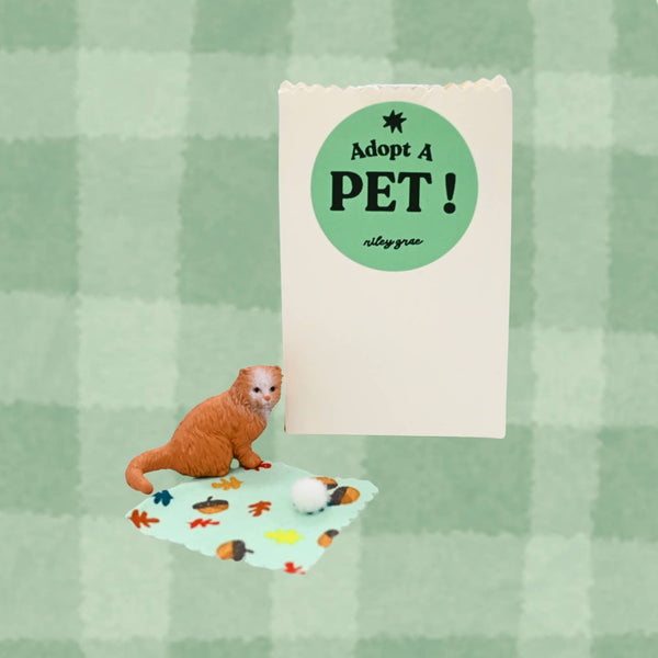 Adopt A Pet - Mini Mystery Animal