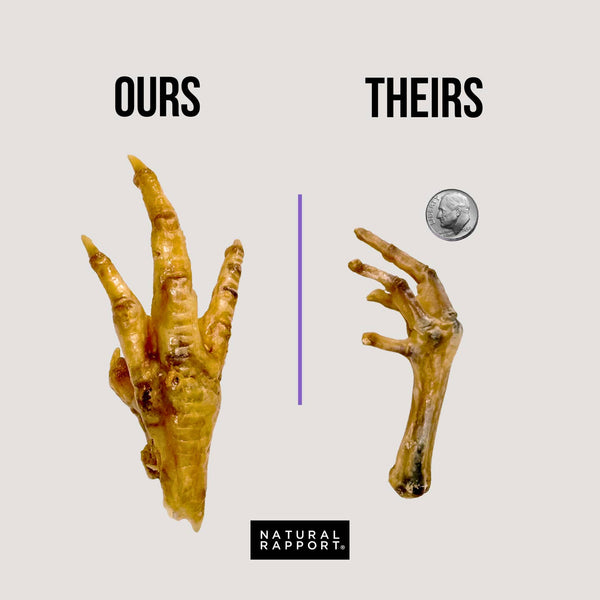 The Only Dehydrated Chicken Feet Dogs Need