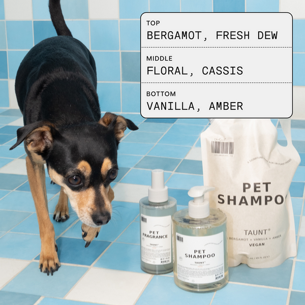 Dedcool Pet Shampoo 01 Taunt