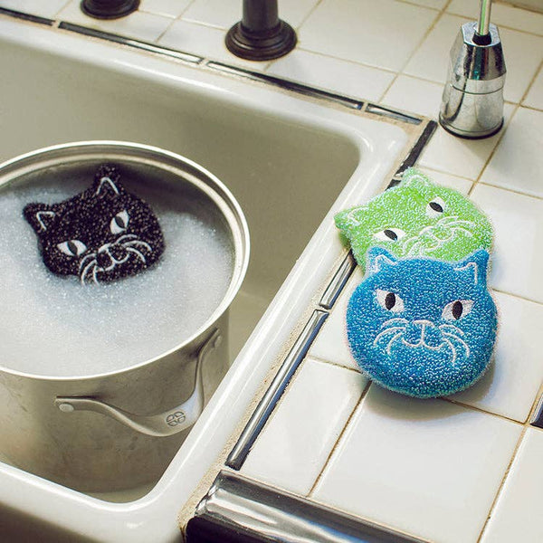 Cat Sponges