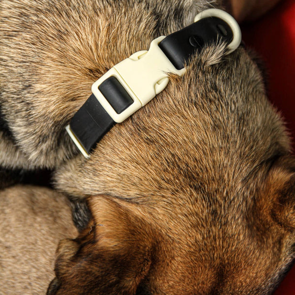 The Fritz Dog Collar - Black Tie + White Sand