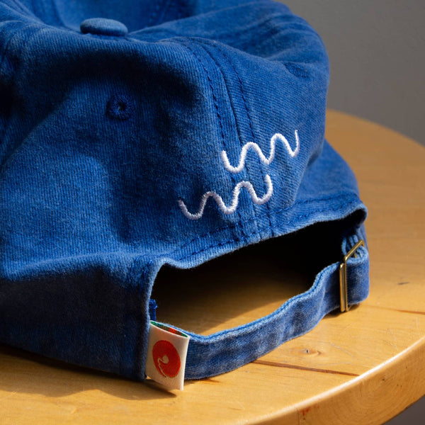 Fish Hat