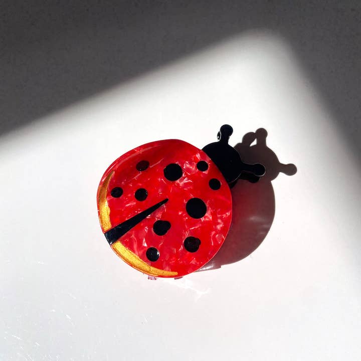 Hand-Painted Ladybug Claw