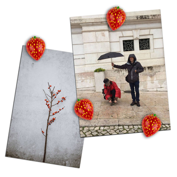 Strawberry Magnets 4-Pack