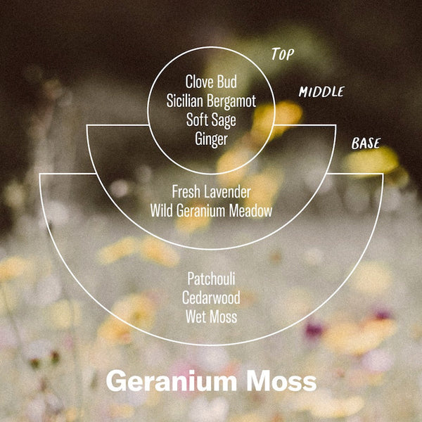 Geranium Moss - 7.2 oz Standard Soy Candle