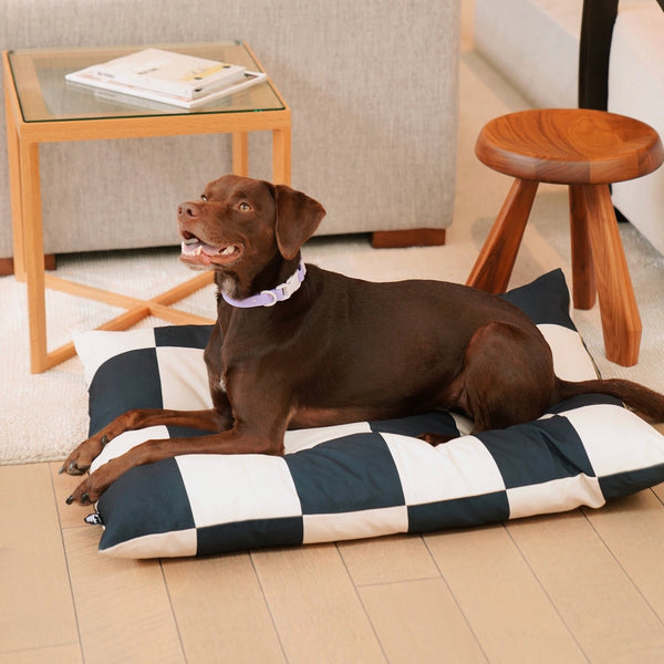 The Fritz Bed - Checkered Black