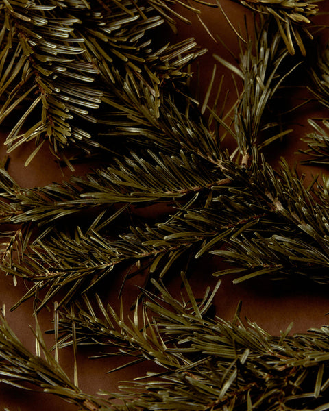 Smoke & Musk Incense Cones