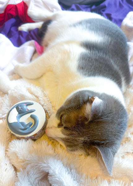 Cozy Cat Grinder