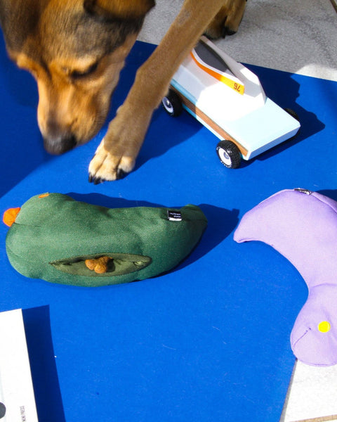 The Fritz Bird Dog Toy - Moss Green