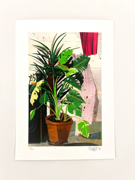 DUAL Print - "Monstera 808" - Edition of 24