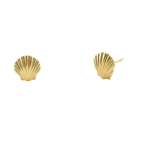 Clam Shell Studs - 14K Yellow Gold