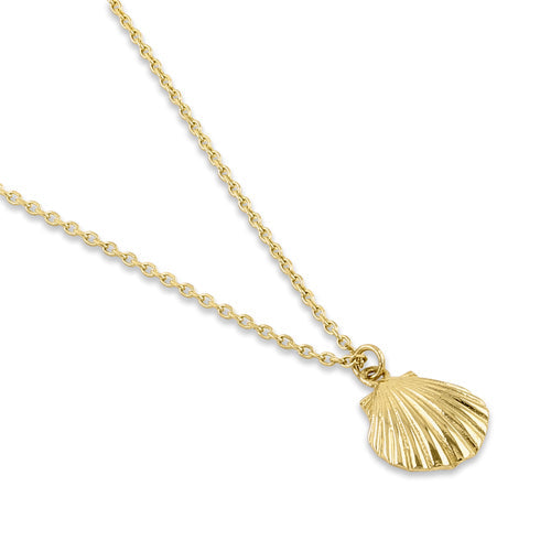 Clam Shell Necklace - 14K Yellow Gold