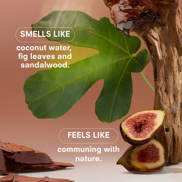 Woodphoria: Eau de Parfum - Travel Size