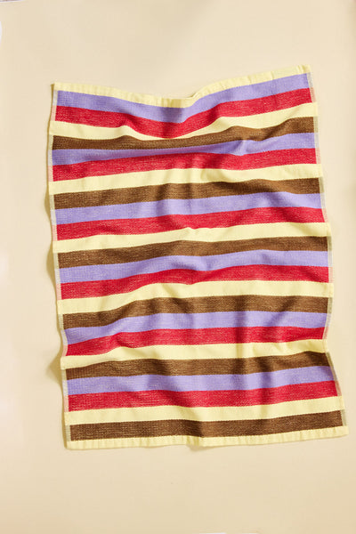 Terry Dish Towels Set of 2 - Soup