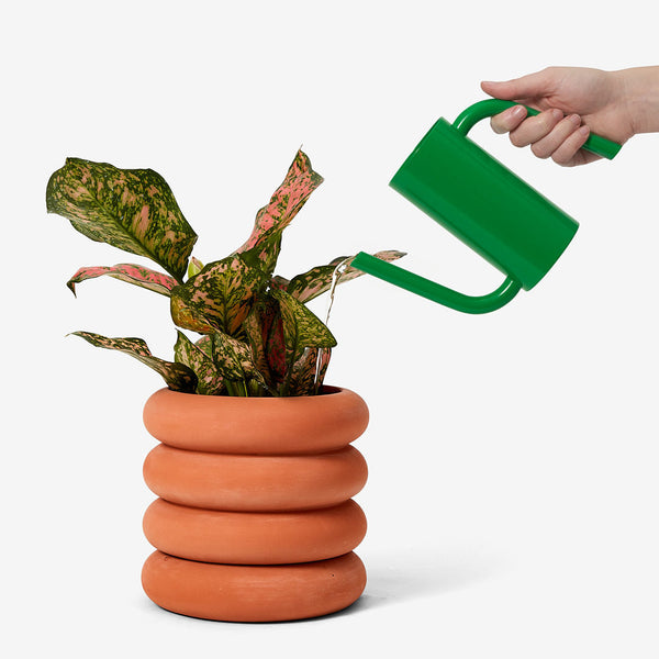 Tango Watering Can - Yellow