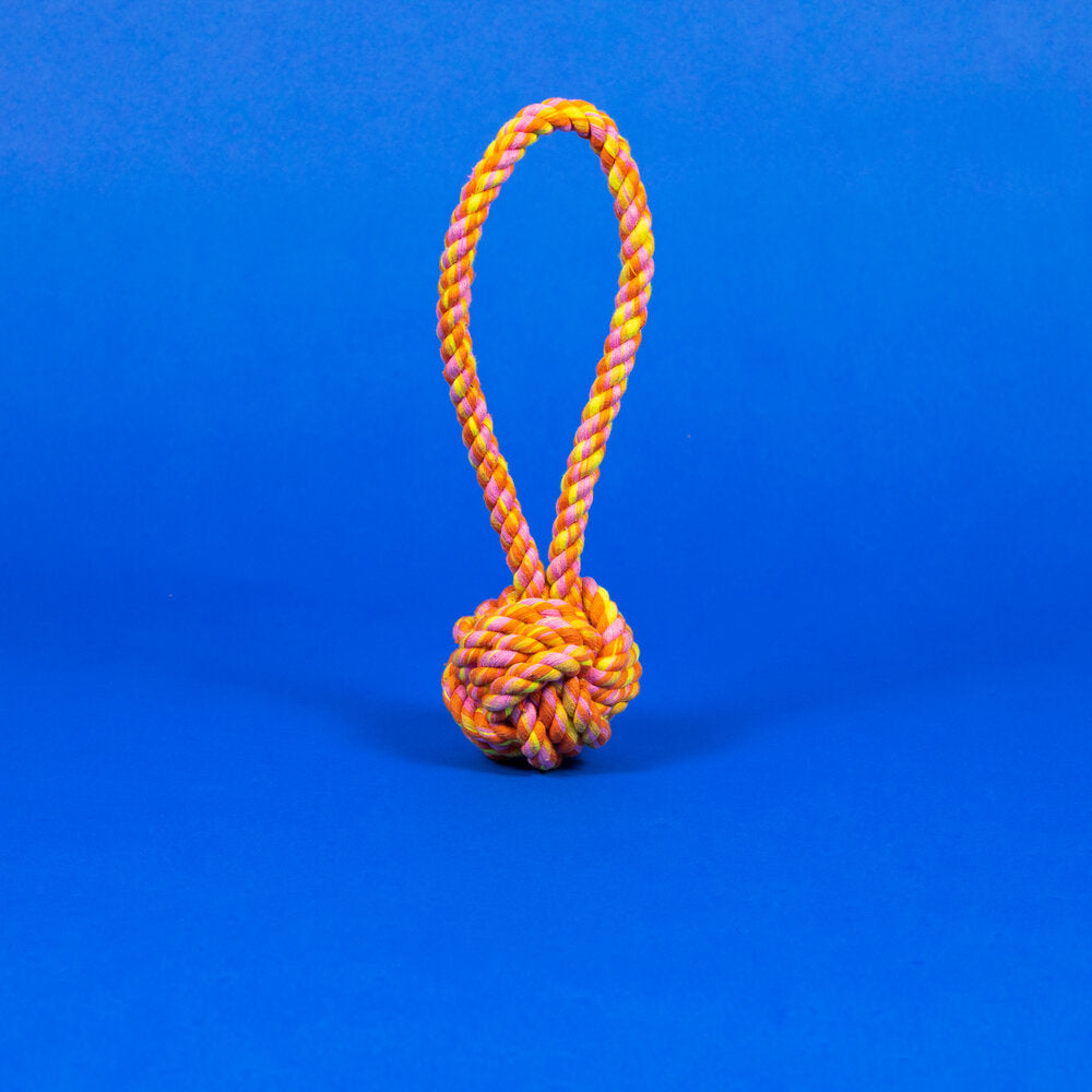 Rope Knot Dog Toy - Neon Pink/Orange/Yellow