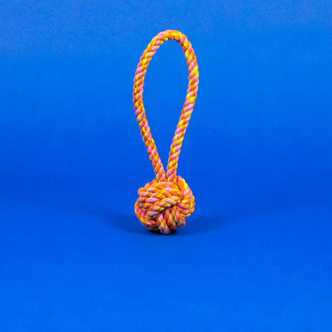 Rope Knot Dog Toy - Neon Pink/Orange/Yellow