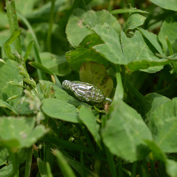 Queen's Token Snake Ring in Sterling Silver