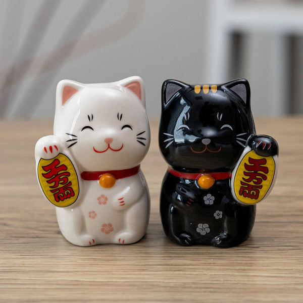 Lucky Cat Salt and Pepper Shaker Set