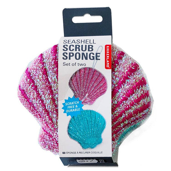 Seashell Sponges