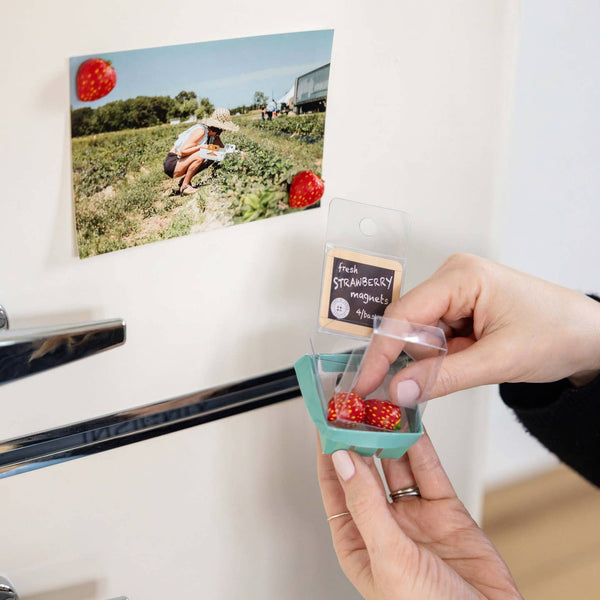 Strawberry Magnets 4-Pack