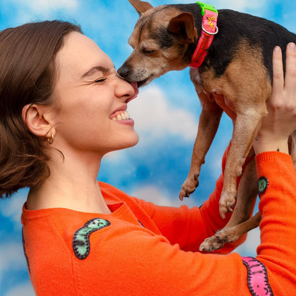 Trash Day Dog Collar