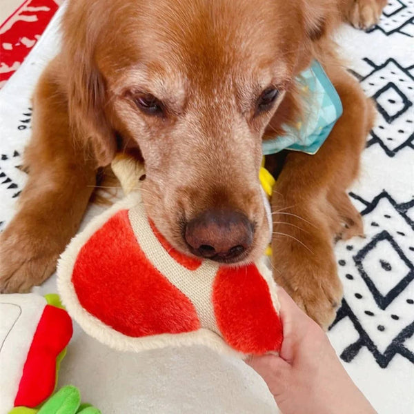 Ham Dog Toy