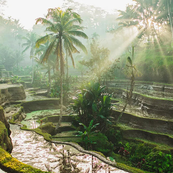 Fragrance Memories - FM07 Bali Rain