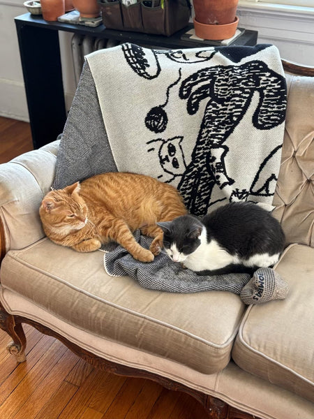 Cats Blanket