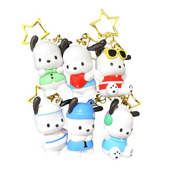 Sanrio Pochacco Figure Key Ring Blind Capsule Box