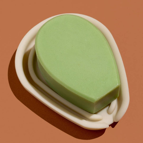 Cactus Soap Dish