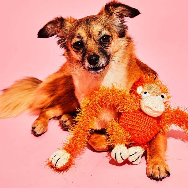 Hand Crochet Monkey Dog Toy