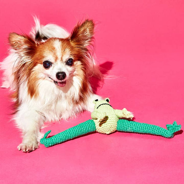 Hand Crochet Frog