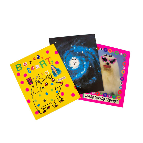 Organized Chaos Pocket Folder Set