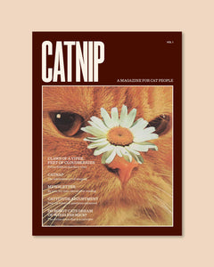 Catnip Magazine