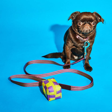 Checkered Vinyl Poo Bag Pouch - Yellow/ Purple