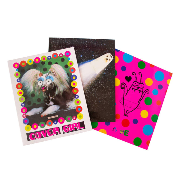 Organized Chaos Pocket Folder Set