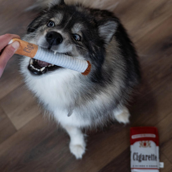 Cigarette Dog Toy