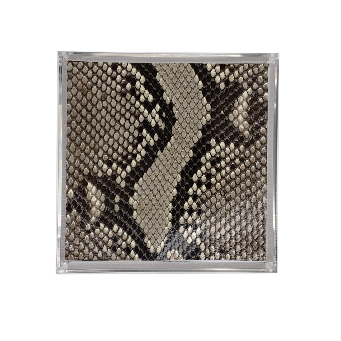 Diamondback Python Lucite Tray