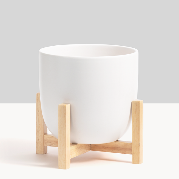7" Contour Ceramic Planter + Wood Stand - White