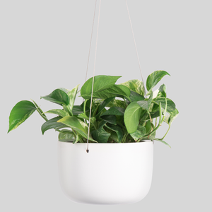 8" Ceramic Hanging Planter - White