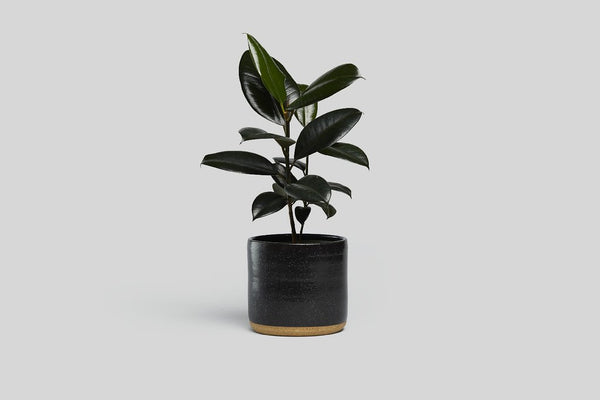 7" Planter - Black Speckle